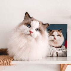 The Astronaut - Custom Pet Canvas