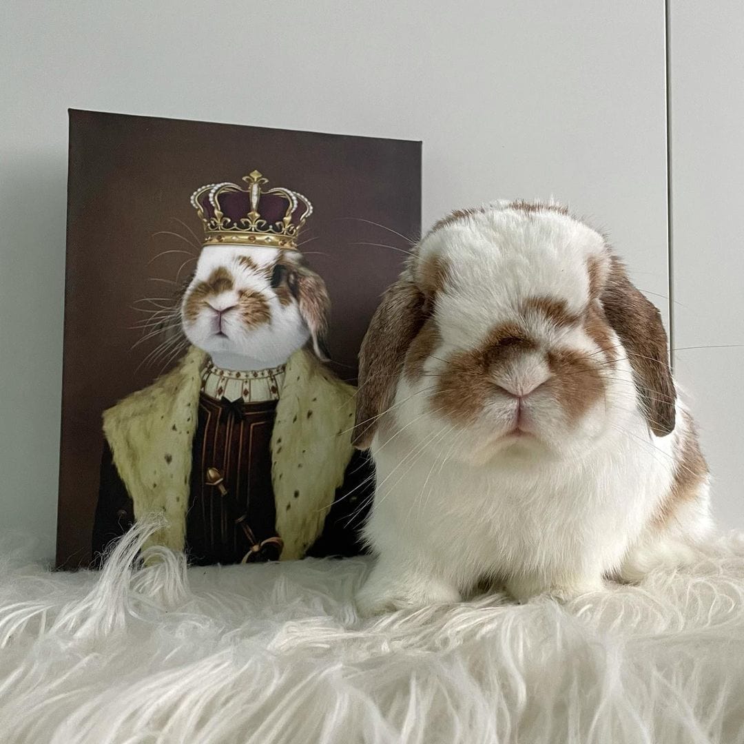 The Young King - Custom Pet Canvas