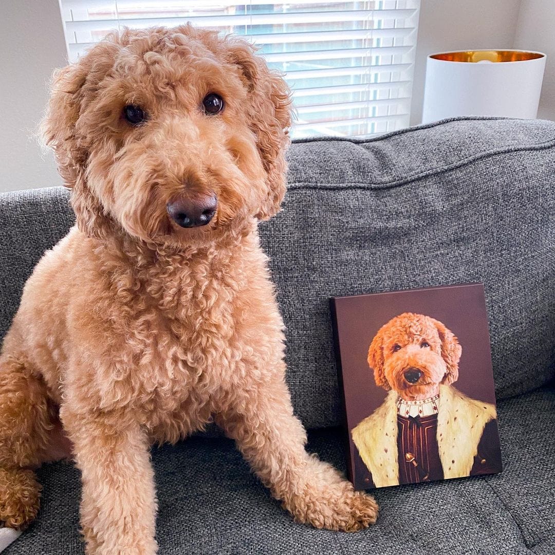 The Young King - Custom Pet Canvas