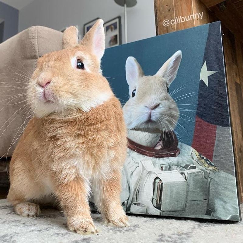 The Astronaut - Custom Pet Canvas