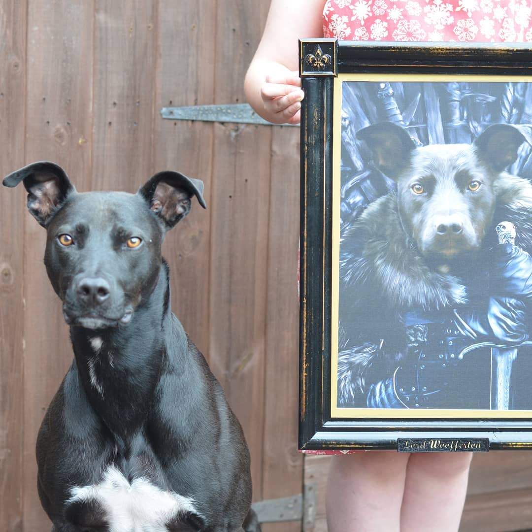 The King in the North - Custom Pet Canvas