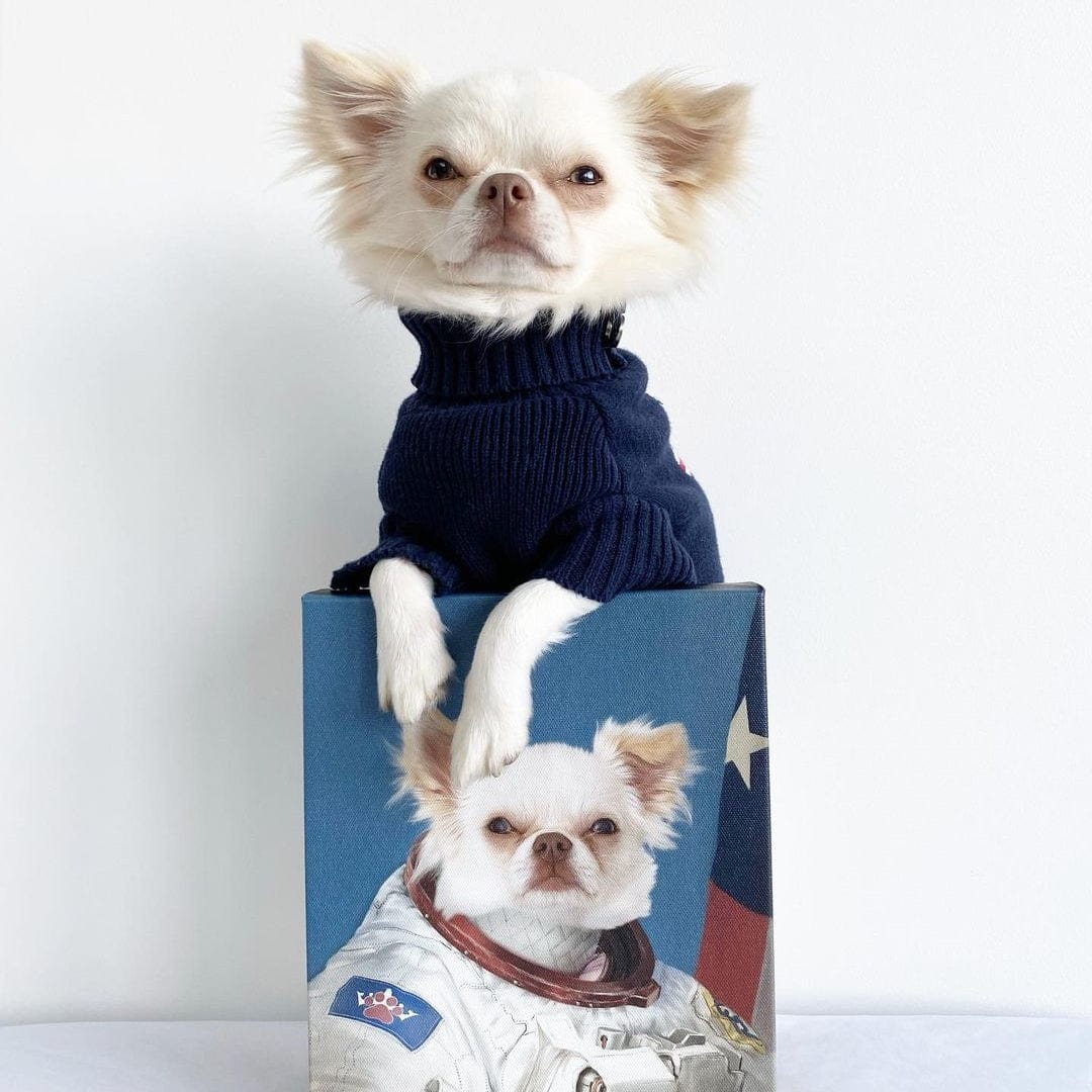 The Astronaut - Custom Pet Canvas