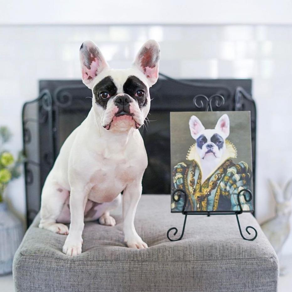 The Sapphire Queen - Custom Pet Canvas