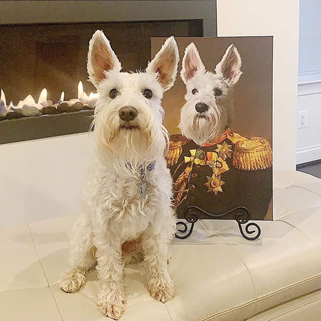 The Veteran - Custom Pet Canvas