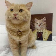 The Young King - Custom Pet Canvas