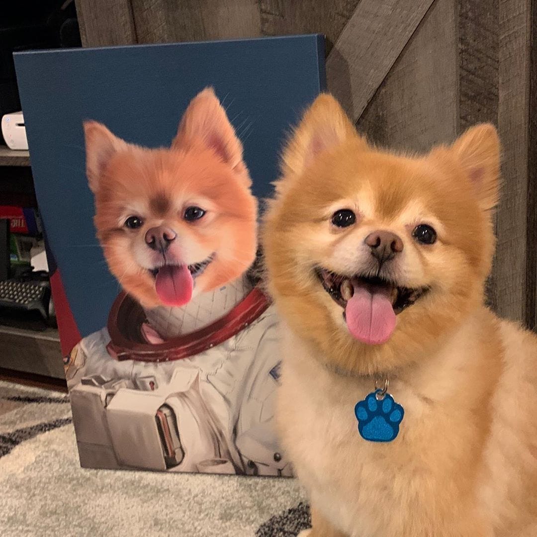 The Astronaut - Custom Pet Canvas