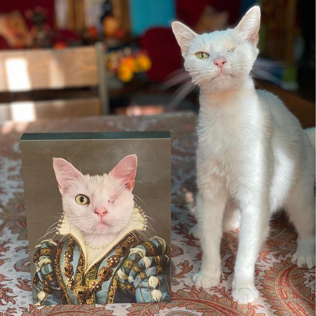 The Sapphire Queen - Custom Pet Canvas