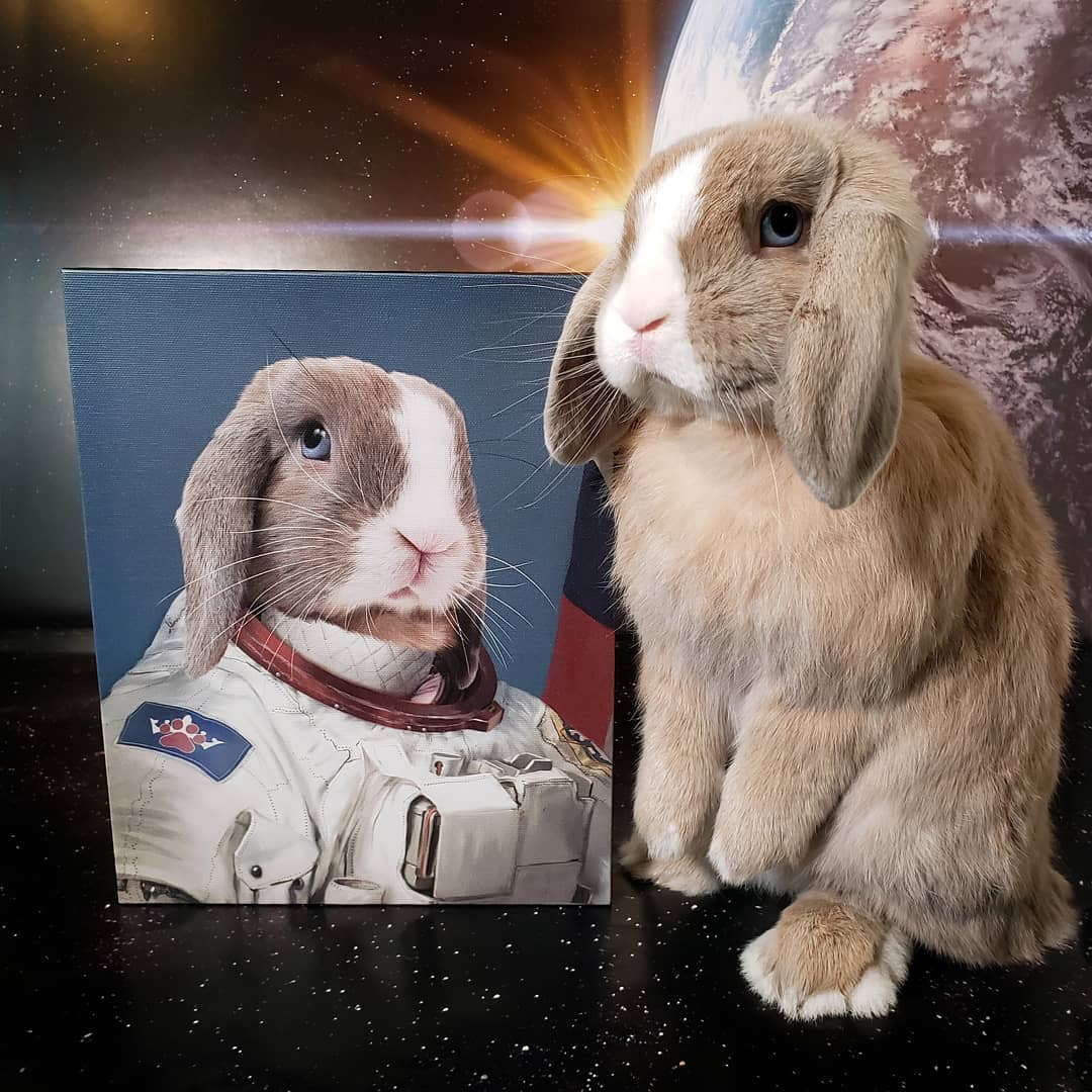 The Astronaut - Custom Pet Canvas